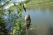 IMG_1013.JPG