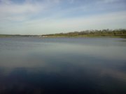 IMG601.jpg