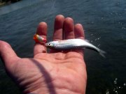 IMG_5083.jpg