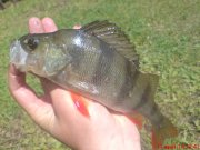 DSC01503.JPG
