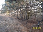 100_5043.jpg