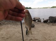DSCF6513.JPG