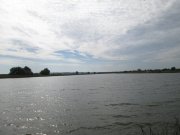 IMG_0005.JPG