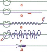 pic3.jpg