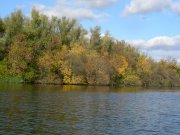 DSCN1163.JPG