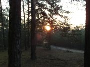 21102008021.jpg