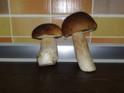 21102008027.jpg