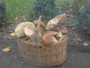 DSC00125.JPG