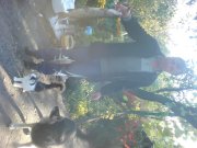 DSC00128.JPG