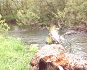 080506_172010.jpg