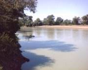 кубань_070830_130019.jpg