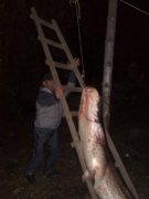 19102008097.jpg