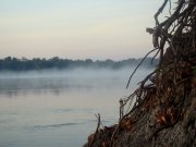 DSC01239.jpg