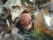 DSC00147.JPG