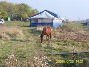 PIC_0028.jpg