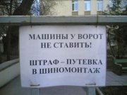 штраф.jpg