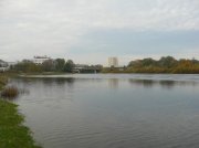 P1020738.jpg