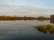 P1020748.jpg