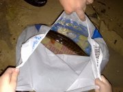 12112008132.jpg