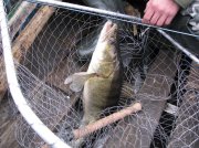 IMG_0614.jpg