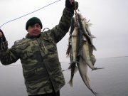 IMG_0618.jpg
