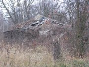 IMG_0595.jpg