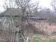 IMG_0596.jpg