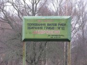 IMG_0603.jpg
