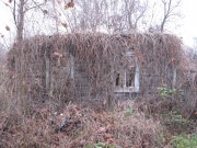 IMG_0597.jpg