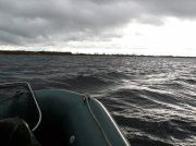 P1000360.jpg