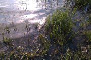IMAG0091.jpg