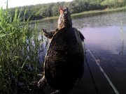 IMG_20140517_075727.jpg