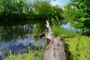 DSC_0564.JPG