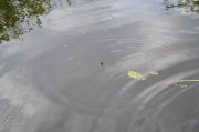 DSC_0574.JPG