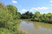 IMG_1108.JPG