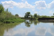 IMG_1109.JPG