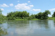 IMG_1113.JPG
