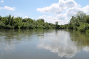 IMG_1119.JPG