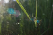 IMG_5518_resize.jpg