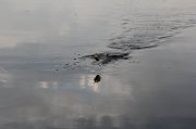 IMG_9717.JPG
