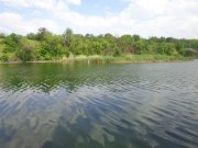 DSC02293.JPG