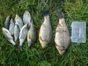 DSC05916.JPG