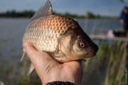 20140517_Fishing_Bochanytsia_026.jpg