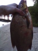 IMG_20140522_043637_0.jpg