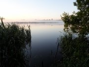 SAM_0190.JPG