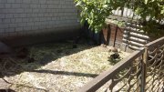 IMG_20140525_104428.jpg