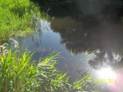 100_5697.jpg