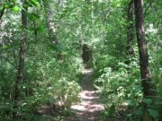 IMG_7080.JPG