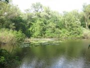 IMG_7090.JPG