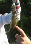 IMG_7101.JPG